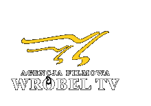 wróbel tv